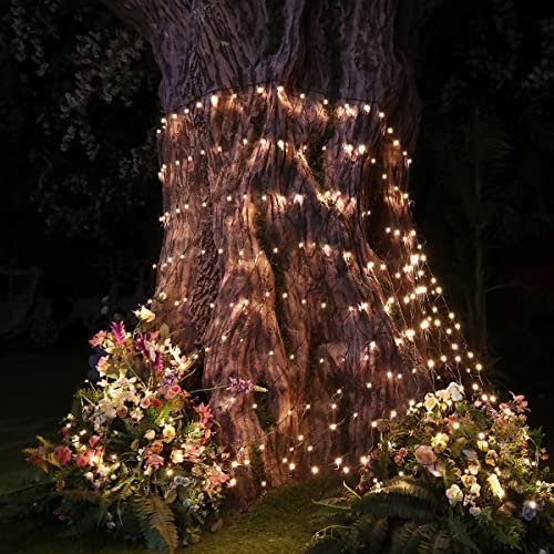 lit up tree
